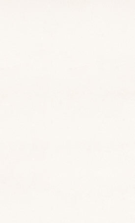 Blizzard