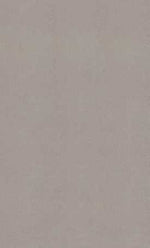 Stone Grey 1