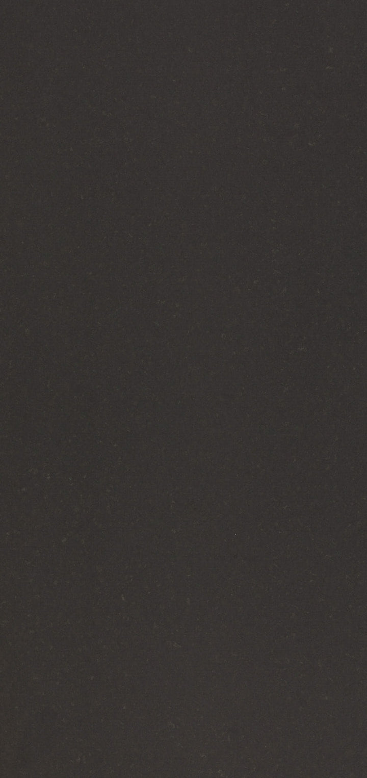 Caesarstone 4120 Raven quartz surface