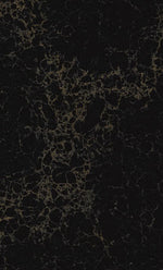Vanilla Noir 1