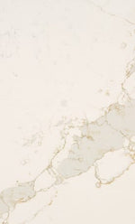 Calacatta Nectar 1