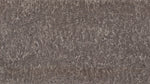 Coastal Grey 4