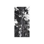 Calacatta Noir 1