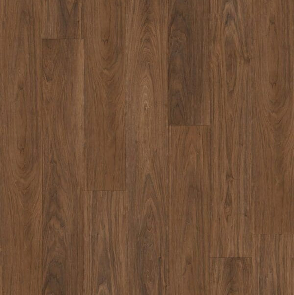 Provincial Plank