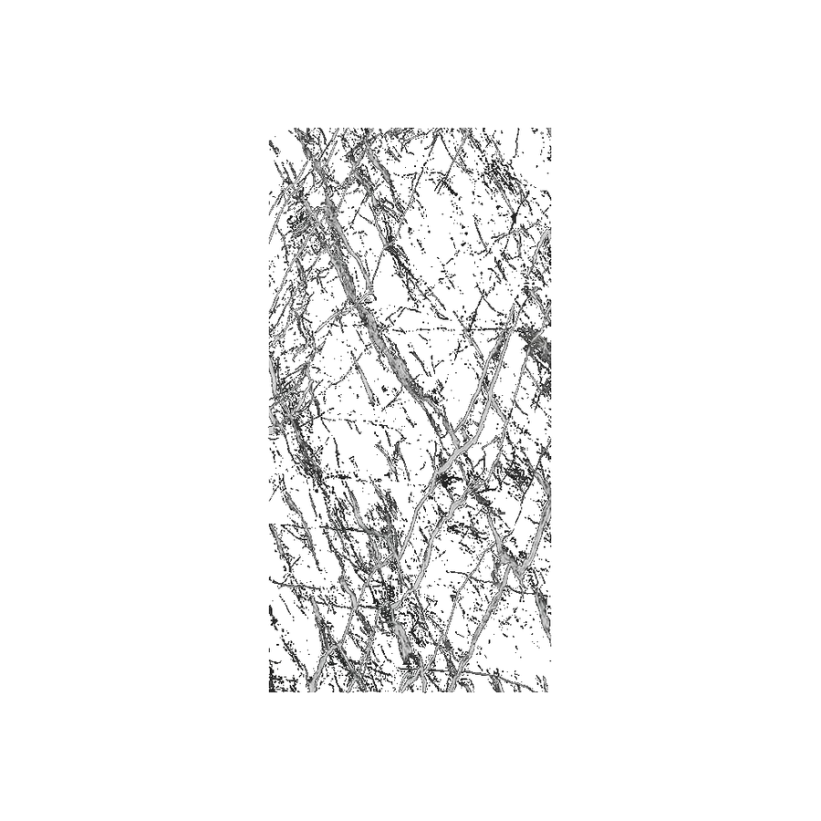 Nero Marquina
