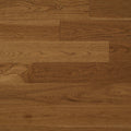 Signature Collection